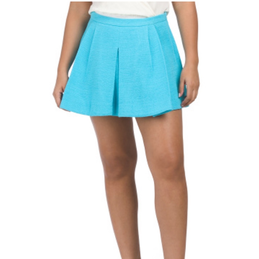 🛑 1 hour sale. Zara, Pleated mini skirt, sky blue